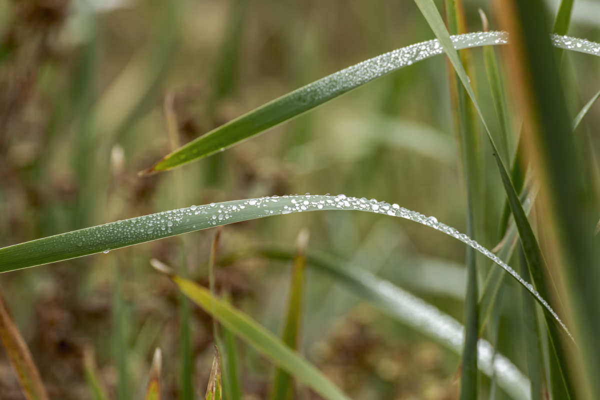 � ����� ����� ���������  �� PhotoGeek.ru #������ ��� �������