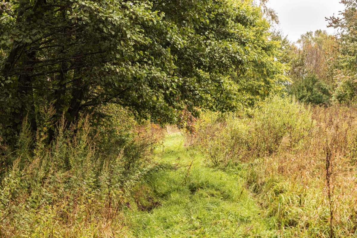 ����������� ����� ����� ���������  �� PhotoGeek.ru #������ ��� �������