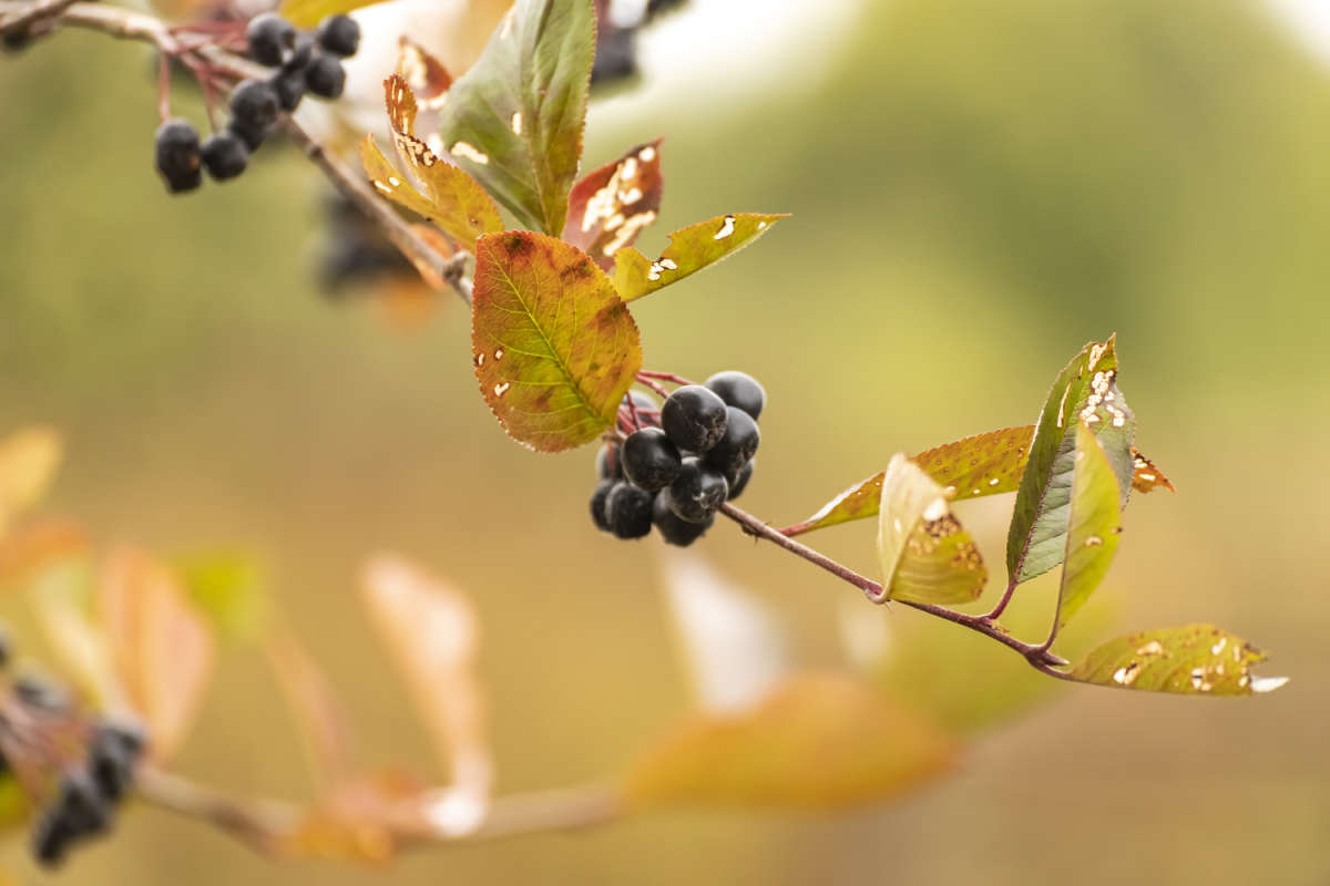 ����������� ����� ���������  �� PhotoGeek.ru #������ ��� �������