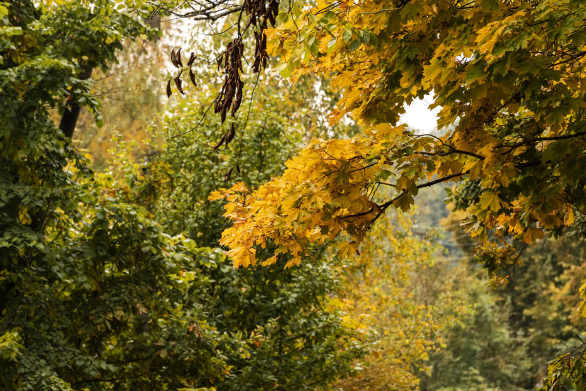 ���������� �������� ����� ���������  �� PhotoGeek.ru #������ ��� �������