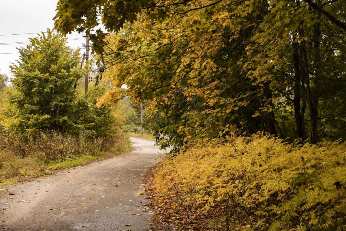 ������� ����� ����� ���������  �� PhotoGeek.ru #������ ��� �������