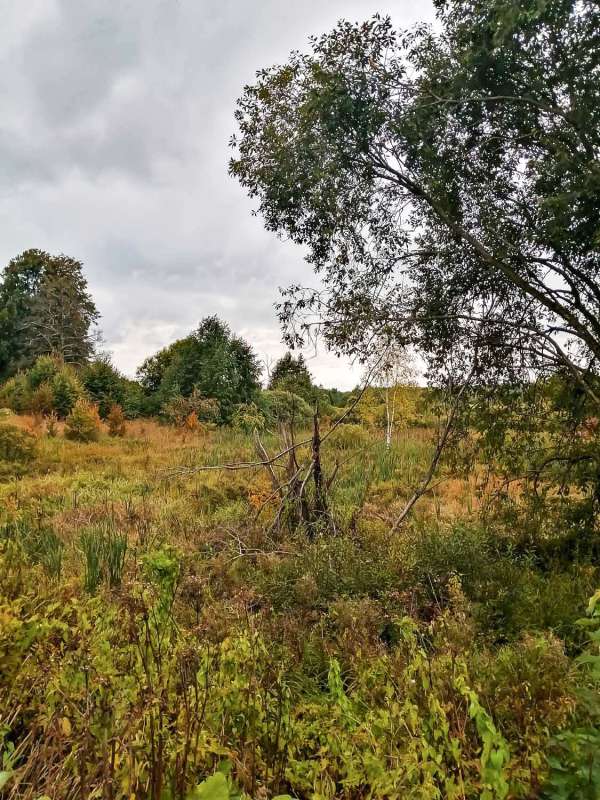 ������� ����� ���������  �� PhotoGeek.ru #������ ��� �������