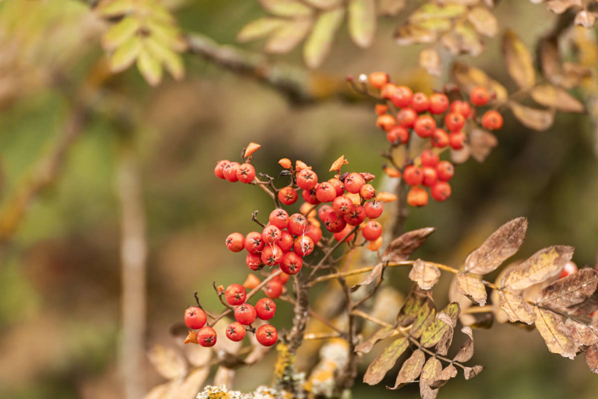 ������ ����� ���������  �� PhotoGeek.ru #������ ��� �������