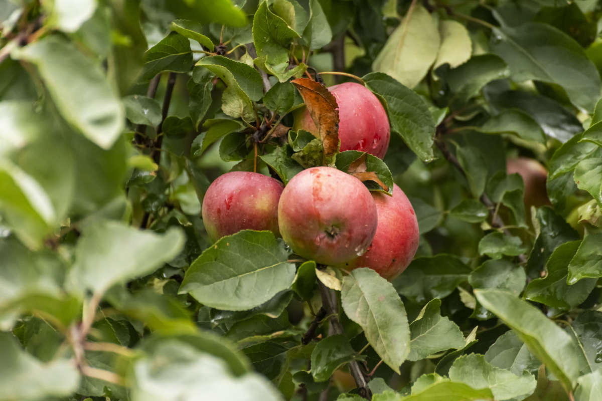 ������ ����� ���������  �� PhotoGeek.ru #������ ��� �������