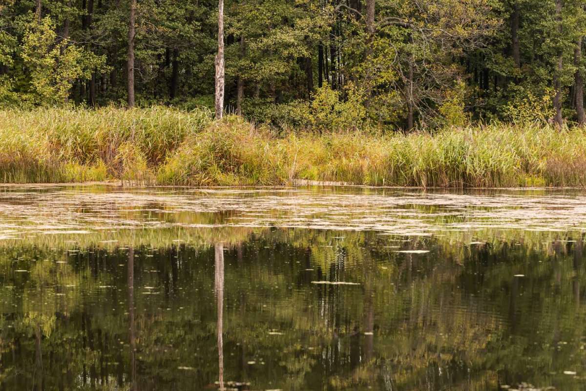 �� ��� ������ ����� ���������  �� PhotoGeek.ru #������ ��� �������