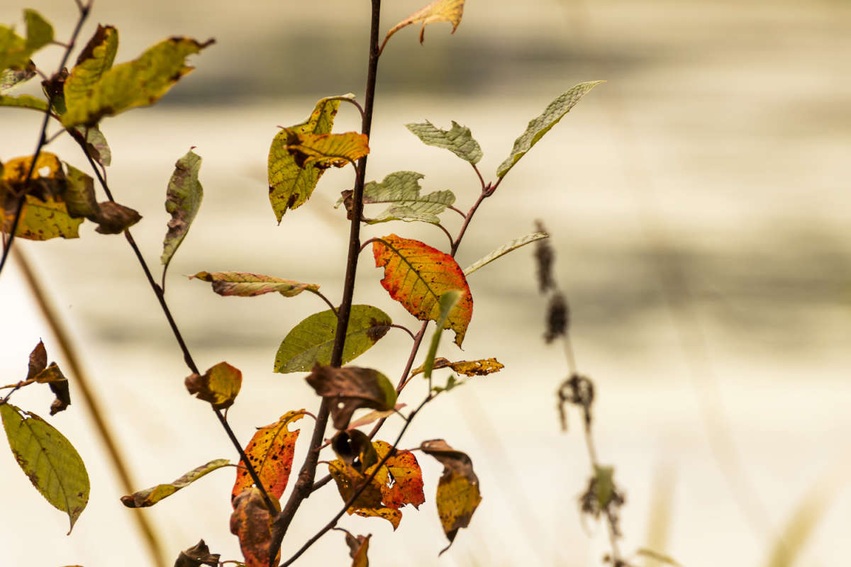 �� ������ ����� ���������  �� PhotoGeek.ru #������ ��� �������