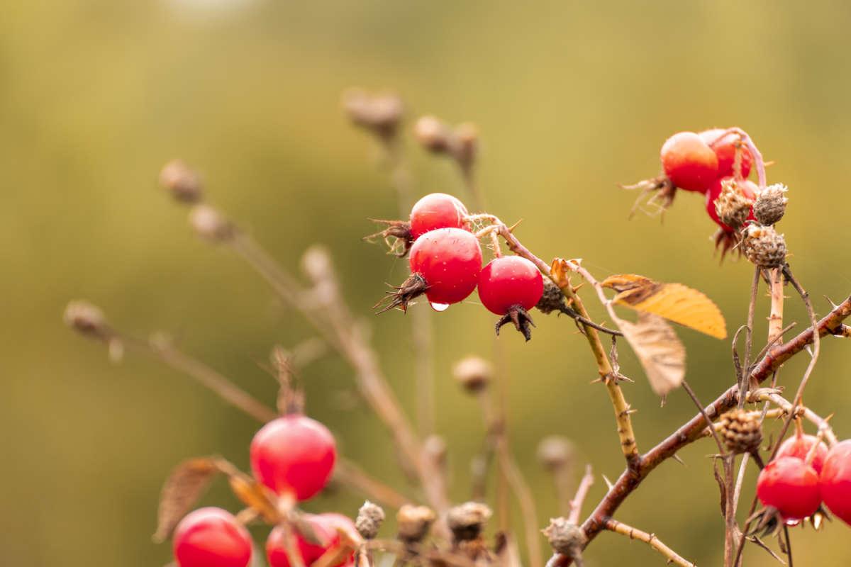 ������� �������� ����� ���������  �� PhotoGeek.ru #������ ��� �������