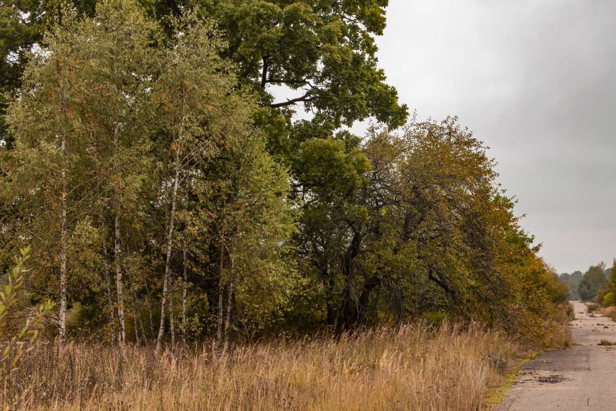 � ������ ����� ���������  �� PhotoGeek.ru #������ ��� �������