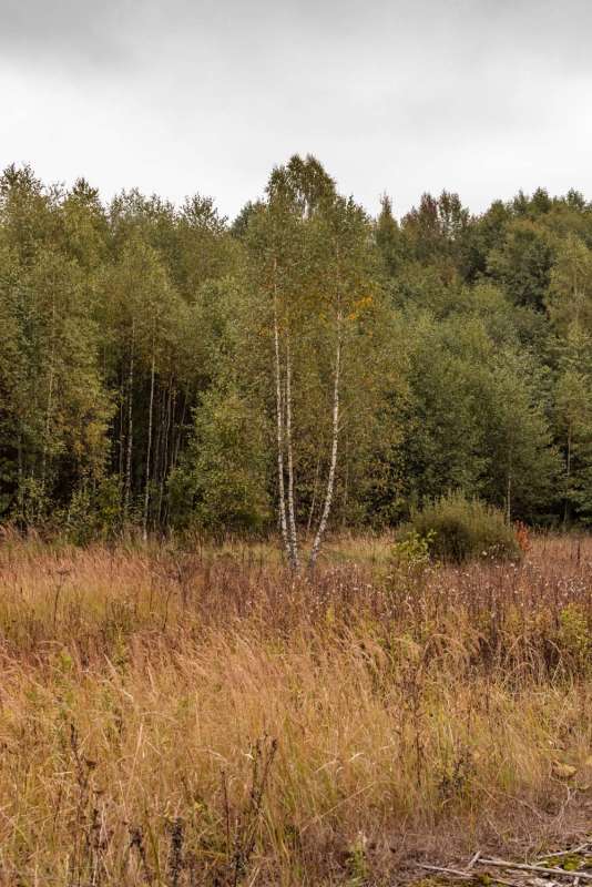 � �������� ����� ���������  �� PhotoGeek.ru #������ ��� �������