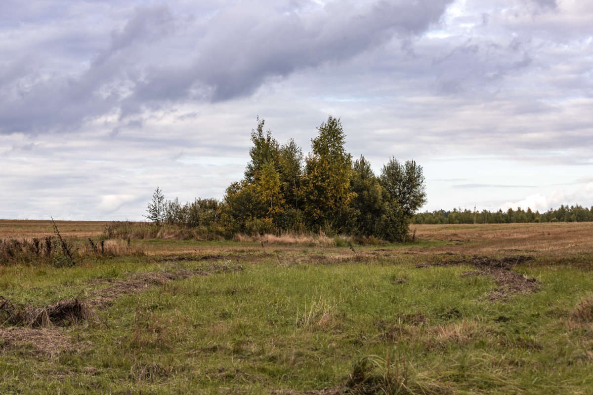 � ���� ����� ���������  �� PhotoGeek.ru #������ ��� �������