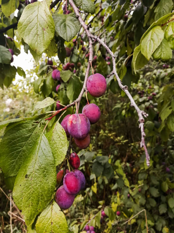 ����� ����� ���������  �� PhotoGeek.ru #������ ��� �������