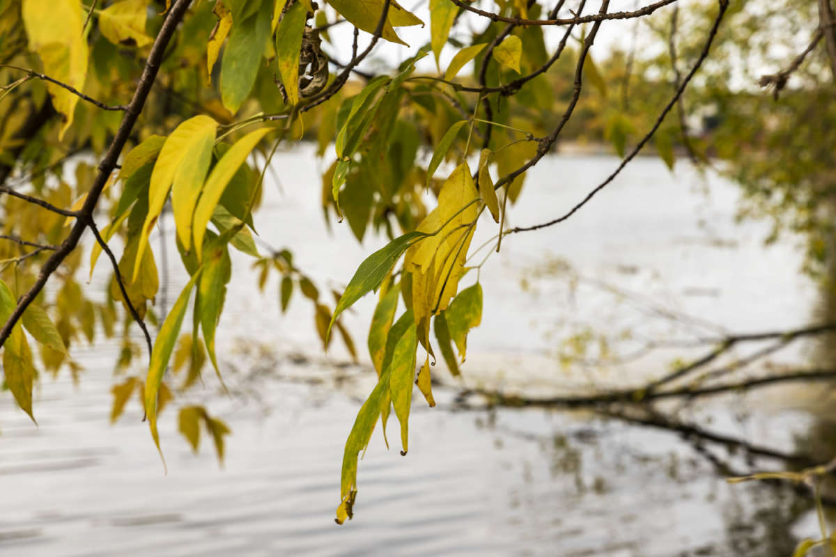 � ���� ����� ���������  �� PhotoGeek.ru #������ ��� �������