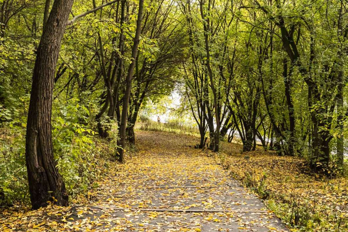 � ���� ����� ���������  �� PhotoGeek.ru #������ ��� �������