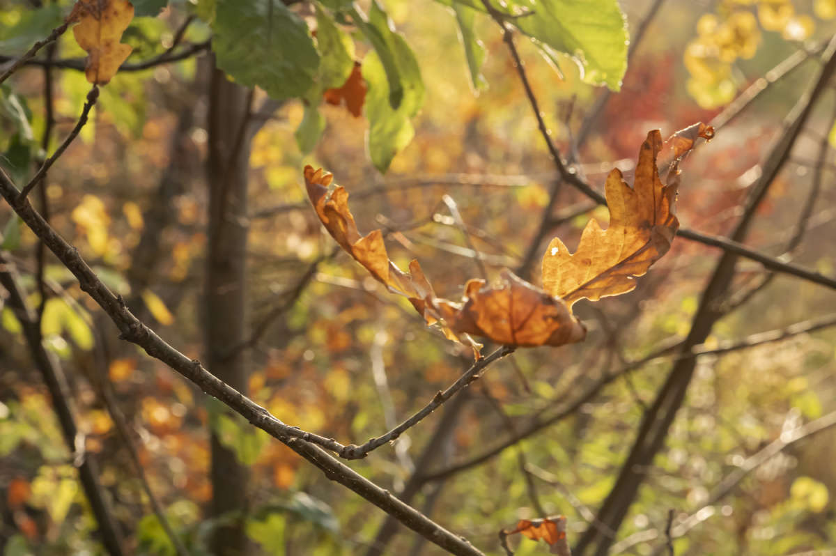 ���� ������� ����� ���������  �� PhotoGeek.ru #������ ��� �������