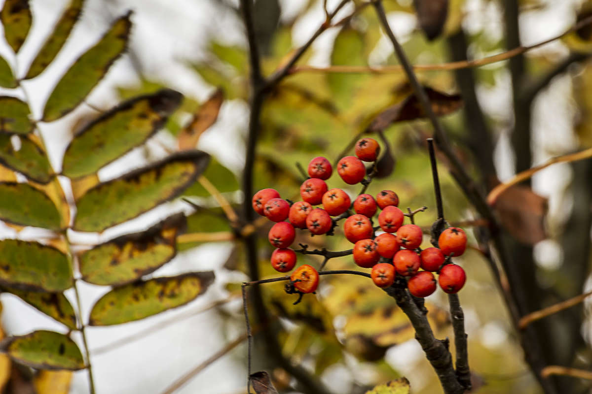 ������ ����� ���������  �� PhotoGeek.ru #������ ��� �������