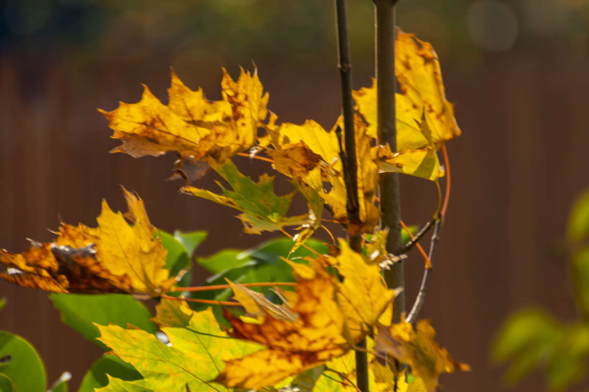 ��� ����� ���������  �� PhotoGeek.ru #������ ��� �������