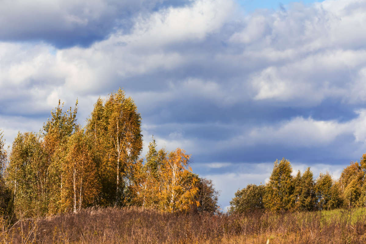 �� �������� ����� ���������  �� PhotoGeek.ru #������ ��� �������