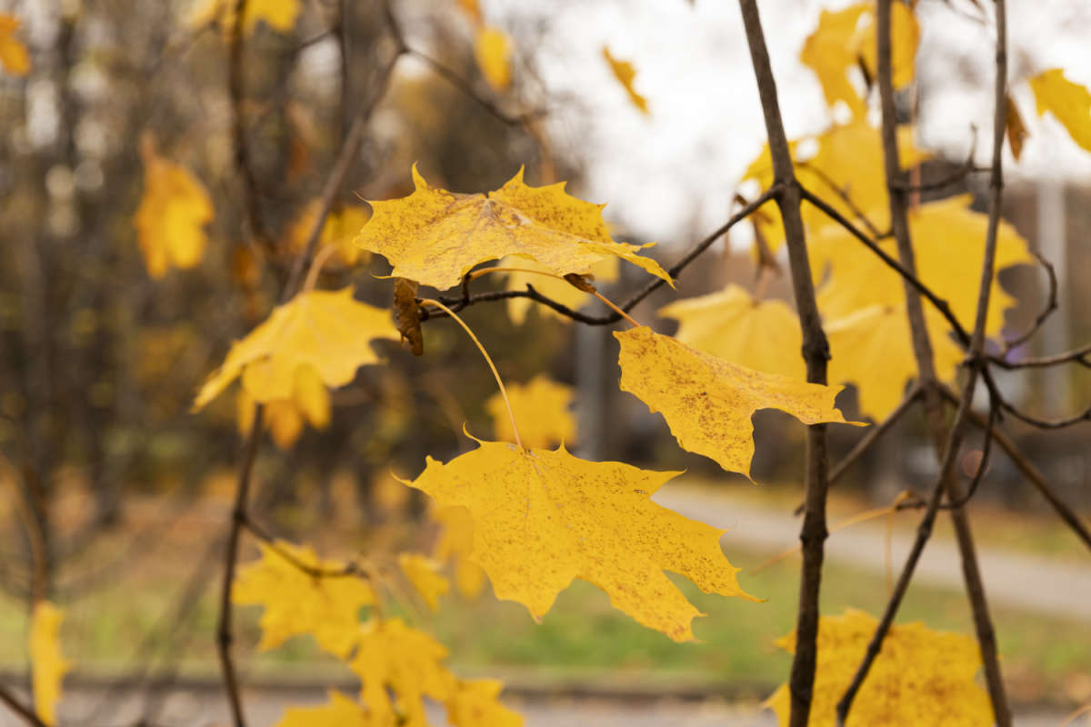 ����� ����� ���������  �� PhotoGeek.ru #������ ��� �������