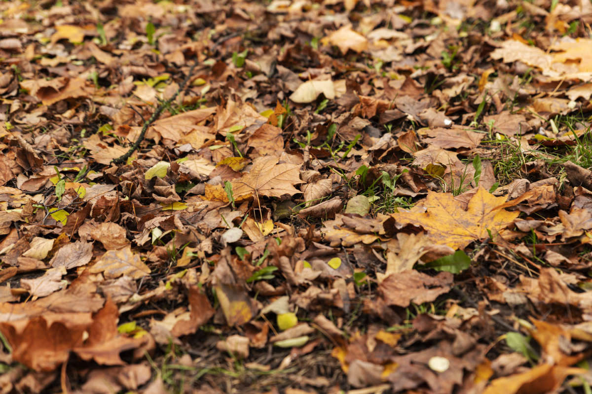 ������� ���� ����� ���������  �� PhotoGeek.ru #������ ��� �������