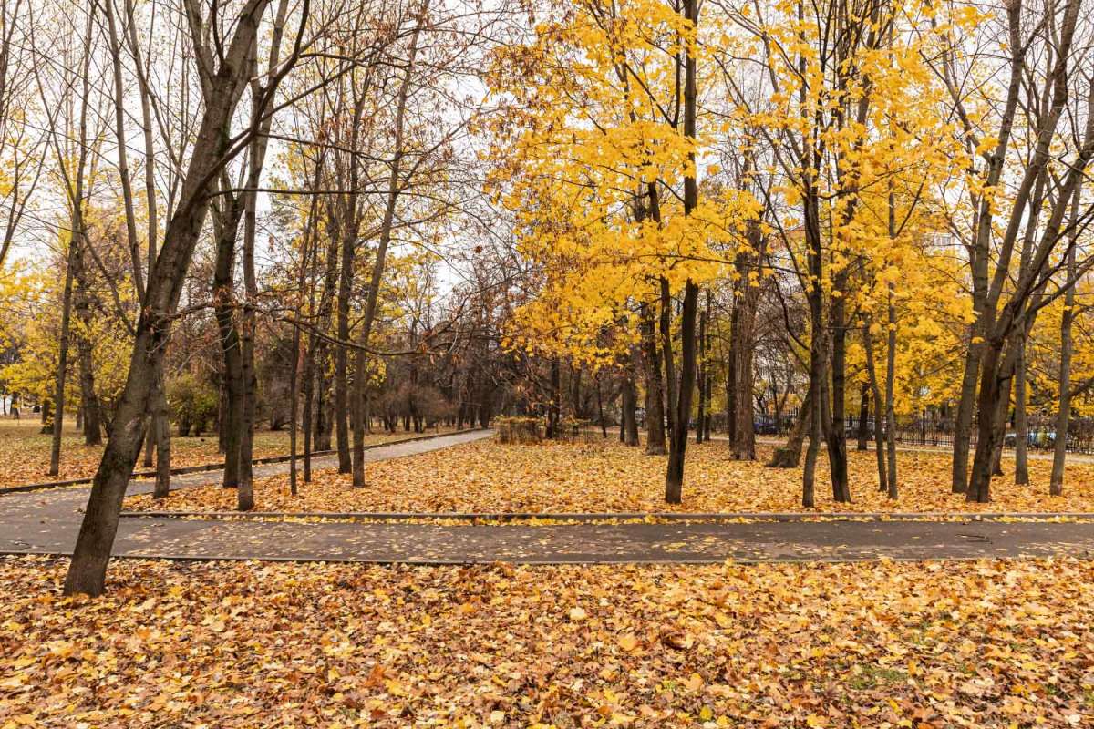 �������� �� ����� ����� ���������  �� PhotoGeek.ru #������ ��� �������