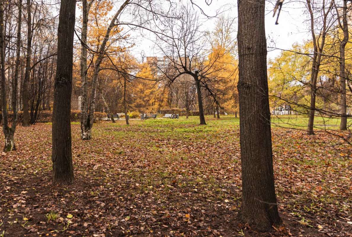 ������� ���� ����� ���������  �� PhotoGeek.ru #������ ��� �������