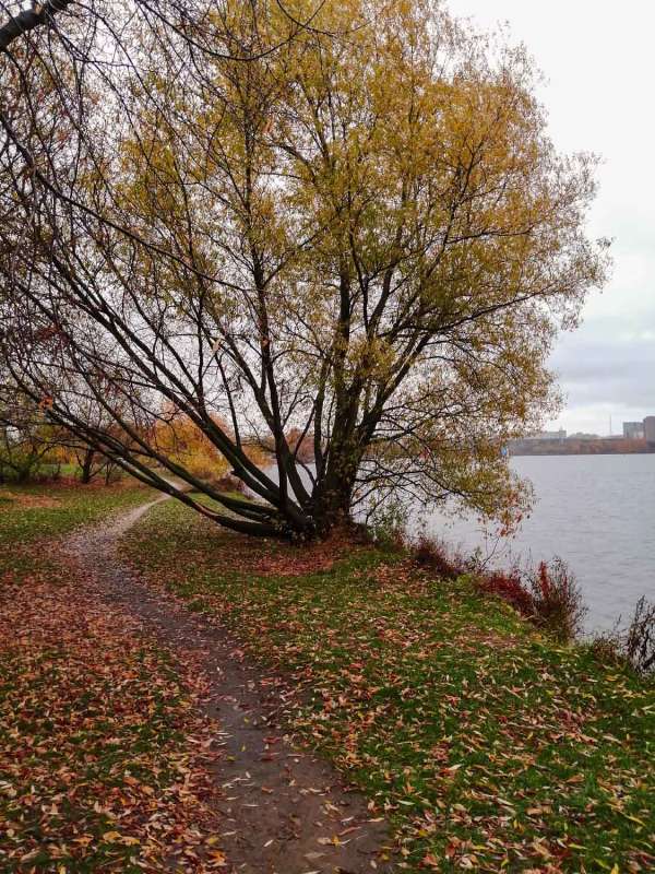 �� ������� ������ ����� ���������  �� PhotoGeek.ru #������ ��� �������