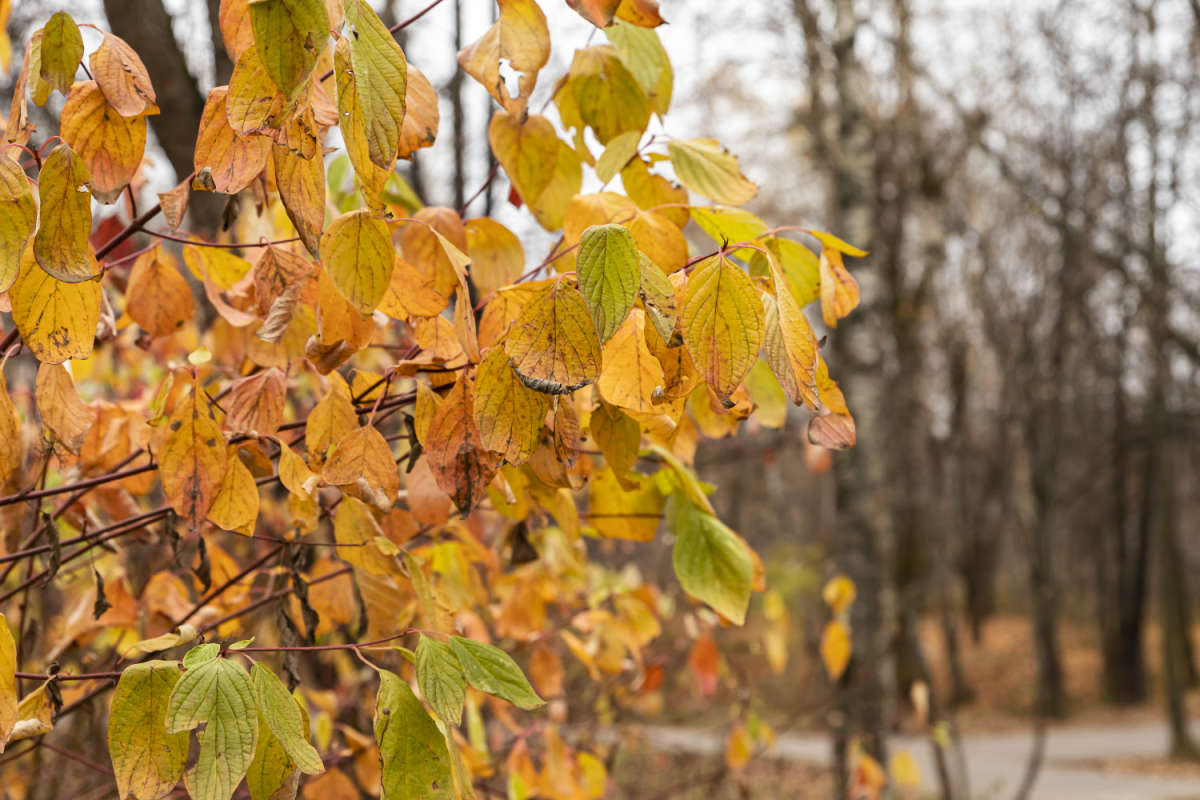 ������ � ����� ����� ���������  �� PhotoGeek.ru #������ ��� �������