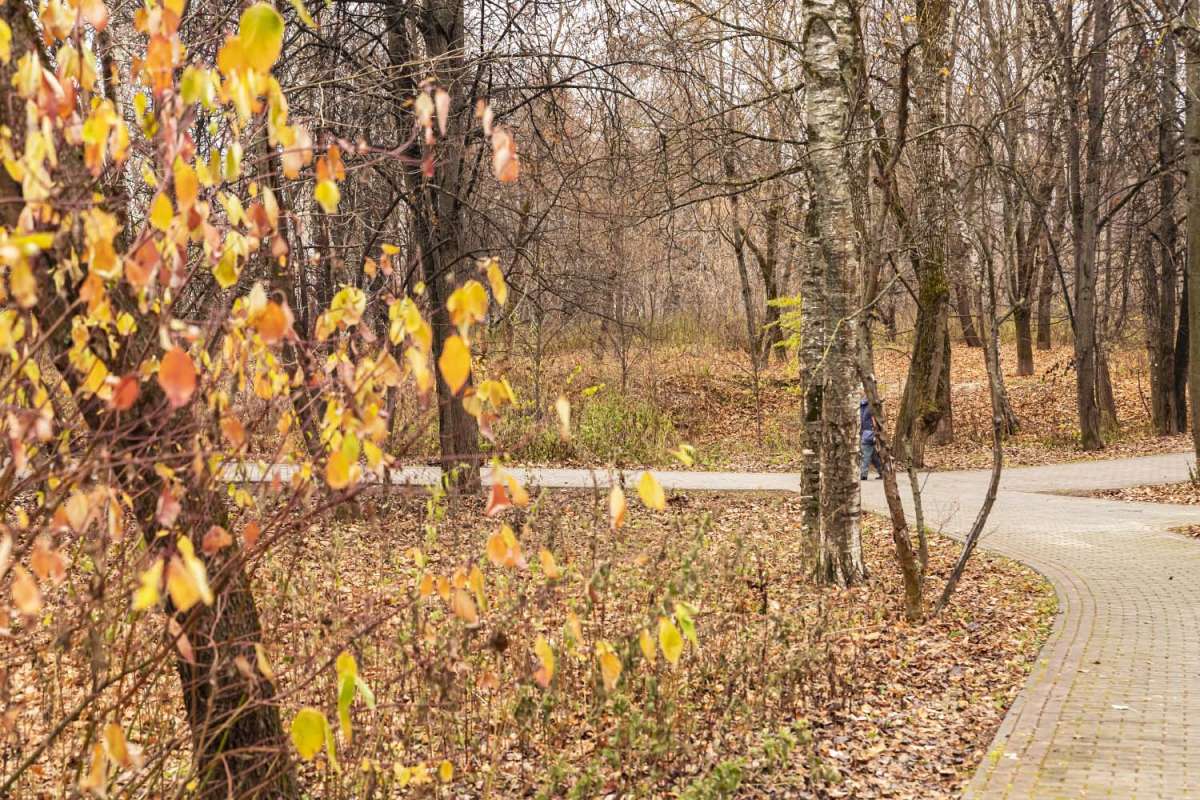 ���� ����� ���������  �� PhotoGeek.ru #������ ��� �������