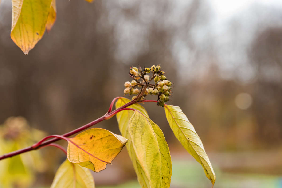 ������ ����� ���������  �� PhotoGeek.ru #������ ��� �������