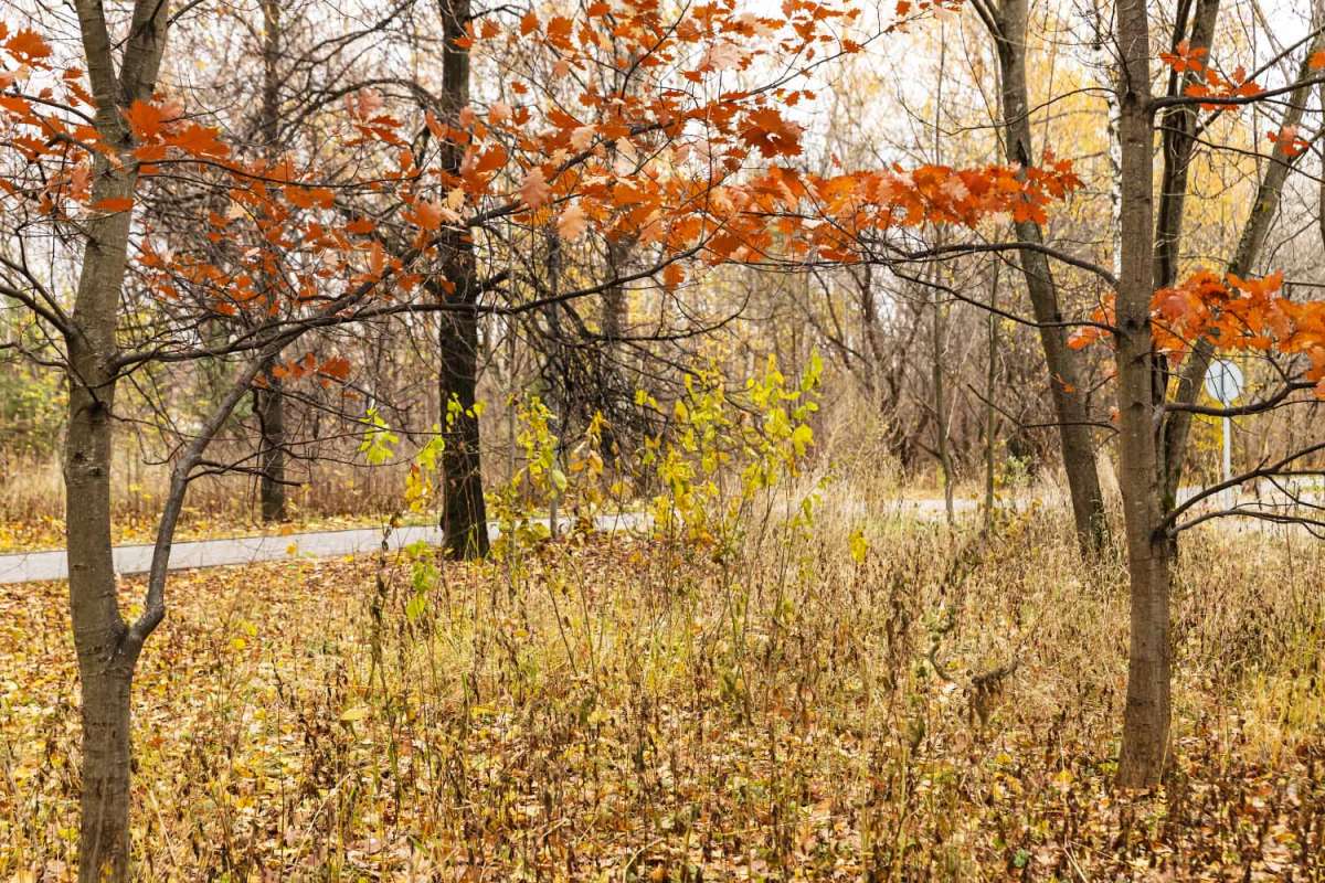 ������ � ����� ����� ���������  �� PhotoGeek.ru #������ ��� �������