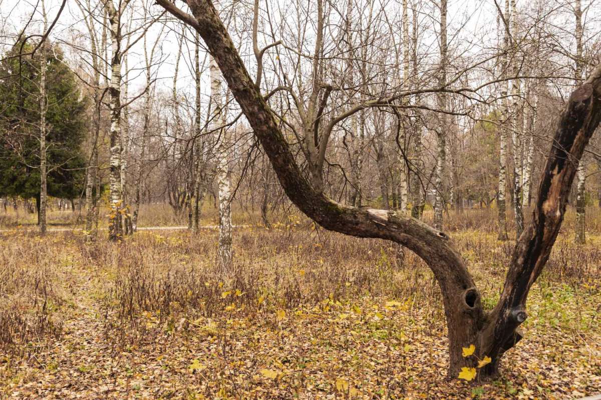 ���� �������� ������ ����� ���������  �� PhotoGeek.ru #������ ��� �������