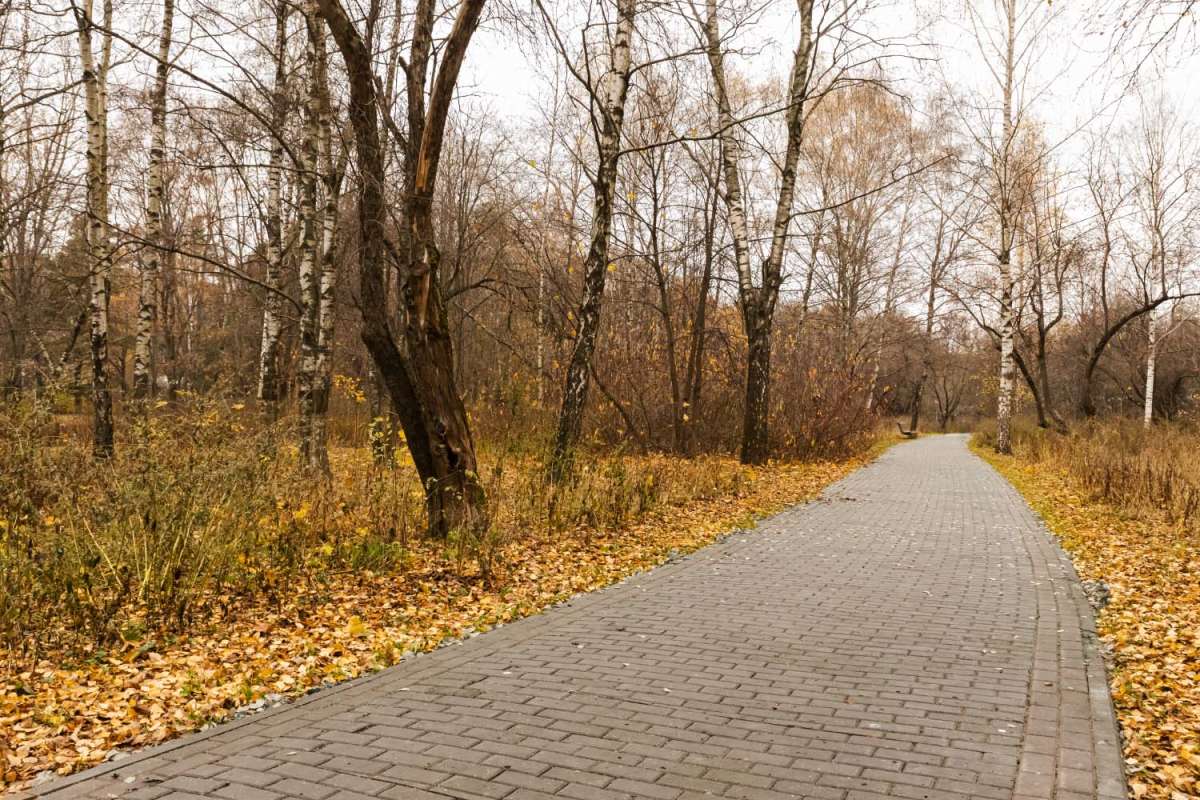 ��������� ���� ����� ���������  �� PhotoGeek.ru #������ ��� �������