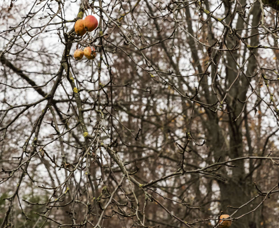 ������ ������ ����� ���������  �� PhotoGeek.ru #������ ��� �������