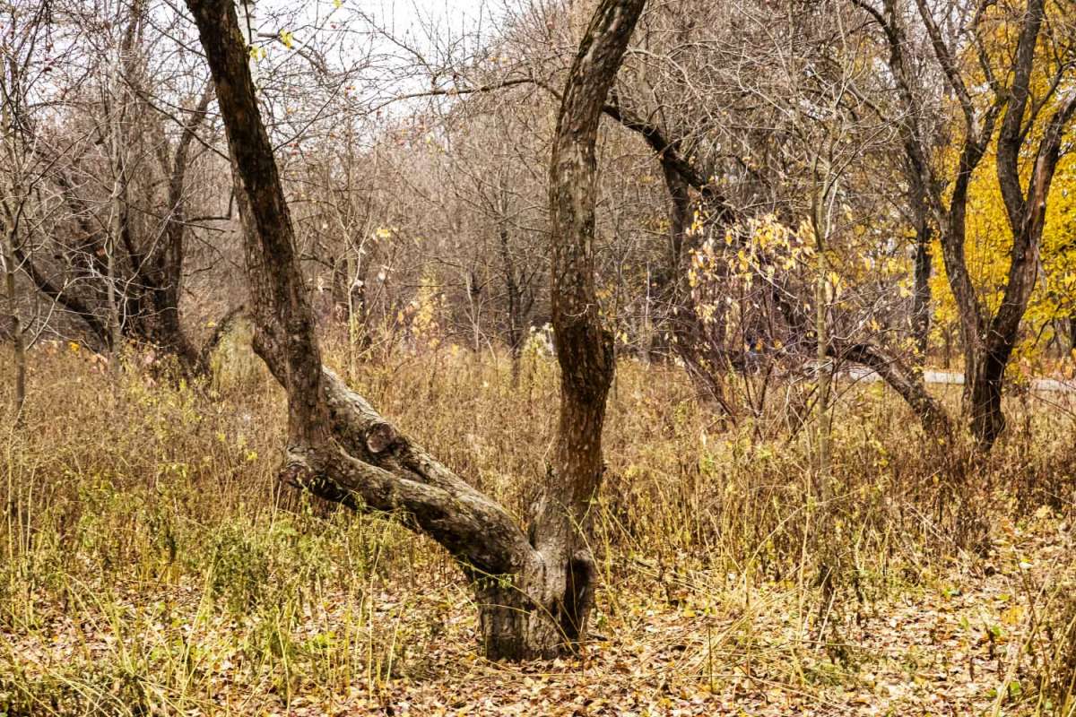 � ����� ����� ���������  �� PhotoGeek.ru #������ ��� �������