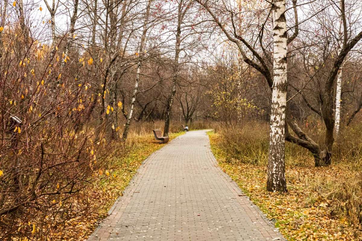 �� ������� ����� ���������  �� PhotoGeek.ru #������ ��� �������