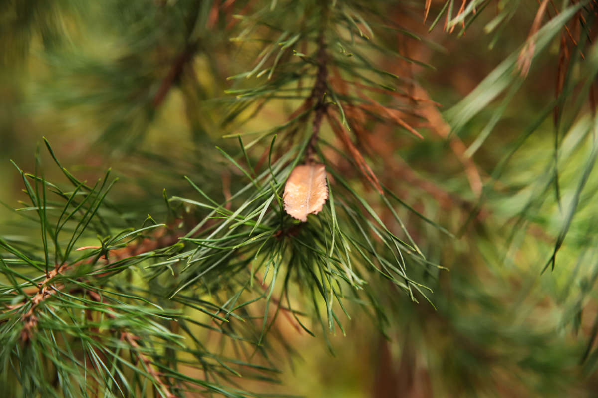 �������� ����� ���������  �� PhotoGeek.ru #������ ��� �������