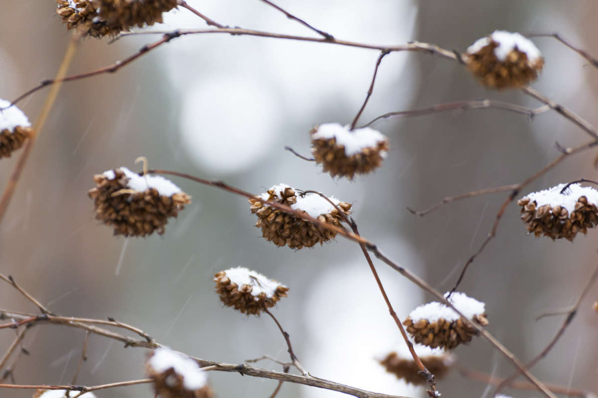 ���� ��� ����� ���������  �� PhotoGeek.ru #������ ��� �������