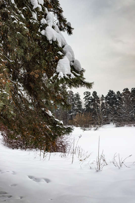 �� ������ ����� ����� ���������  �� PhotoGeek.ru #������ ��� �������