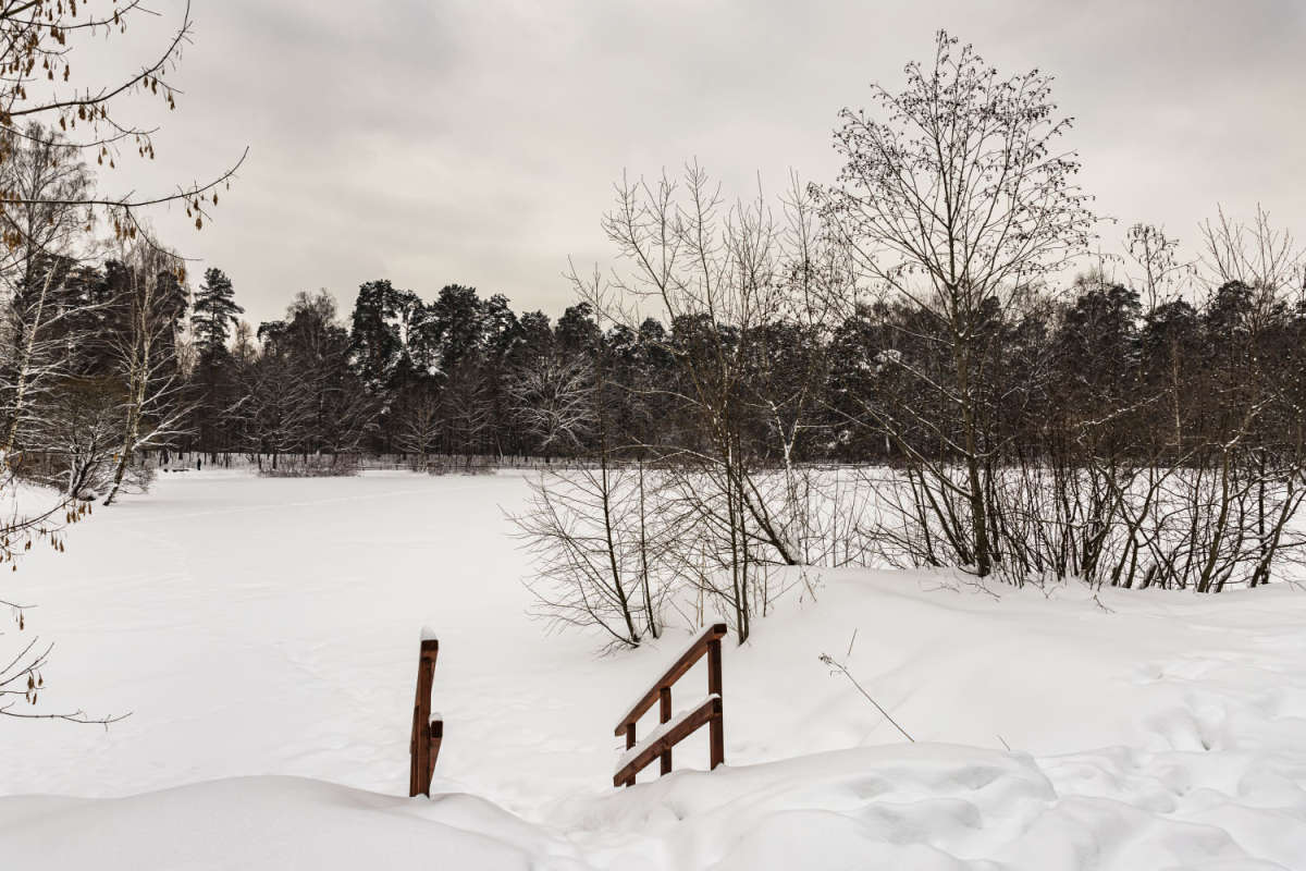 ������� ����� ����� ���������  �� PhotoGeek.ru #������ ��� �������