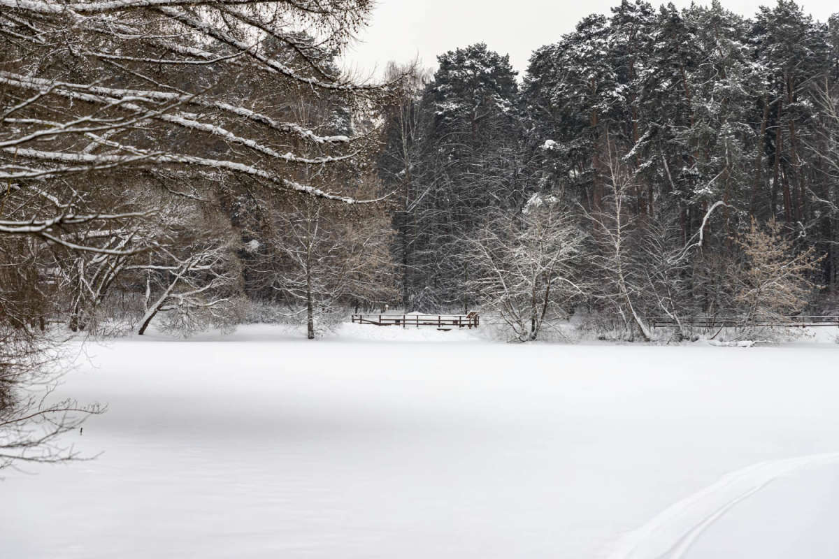 ��������� ����� ����� ���������  �� PhotoGeek.ru #������ ��� �������