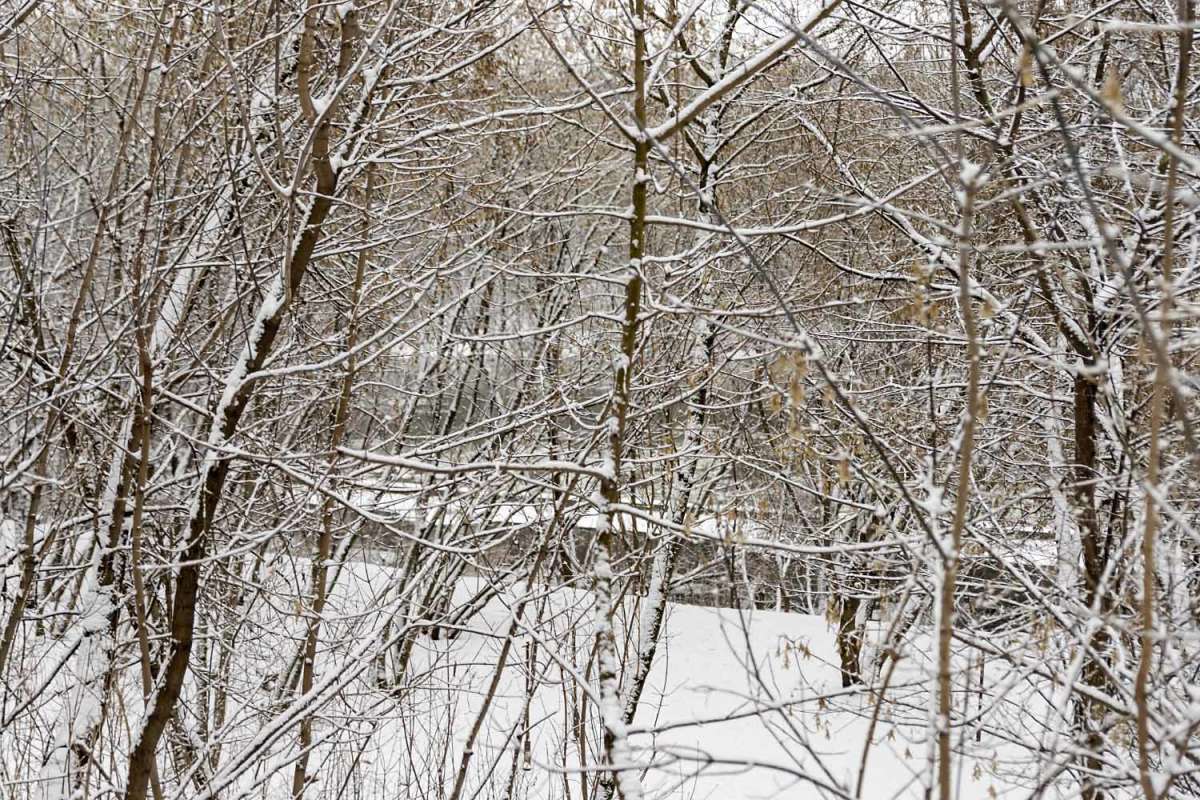 ����� ������-���� ����� ���������  �� PhotoGeek.ru #������ ��� �������