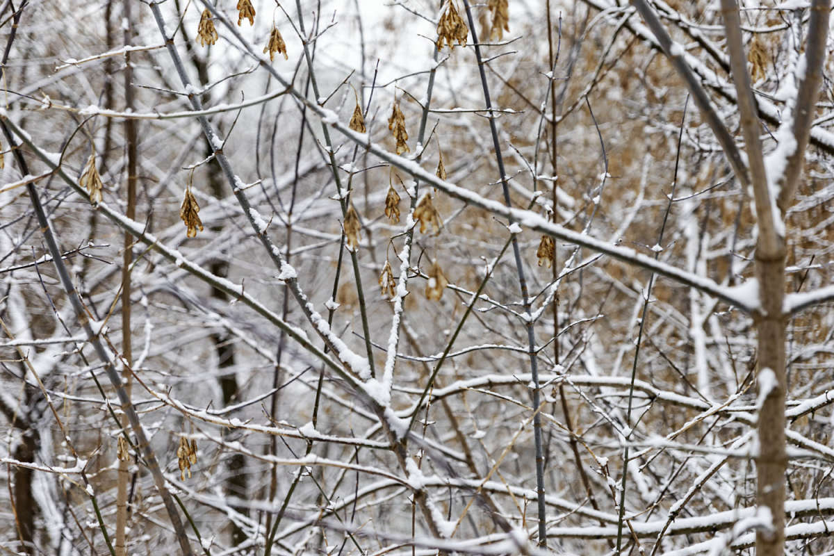 ������� �� ������ ���� ����� ���������  �� PhotoGeek.ru #������ ��� �������