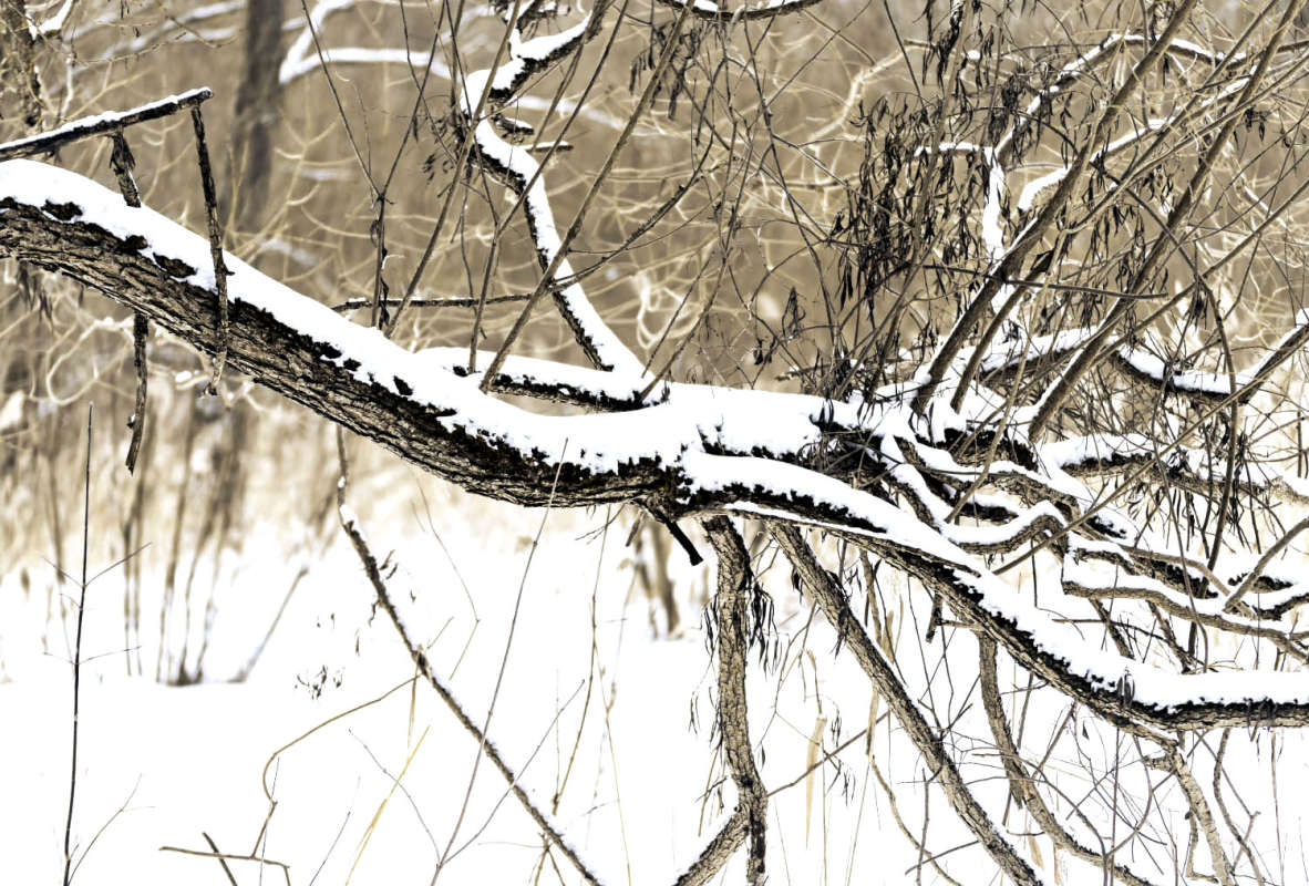 ����� ����� ���������  �� PhotoGeek.ru #������ ��� �������