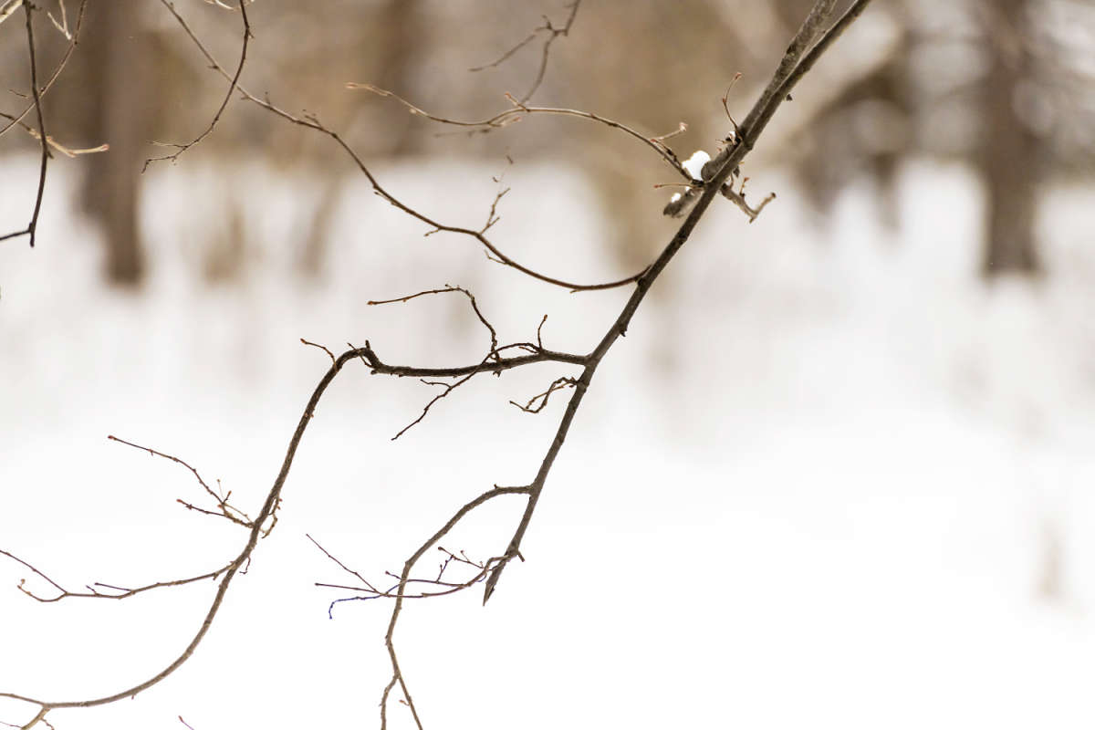 ������� ����� ���������  �� PhotoGeek.ru #������ ��� �������