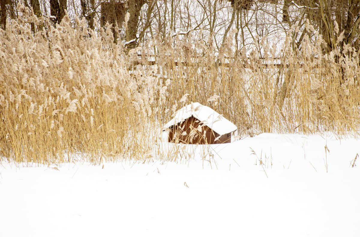 � ������� ����� ���������  �� PhotoGeek.ru #������ ��� �������