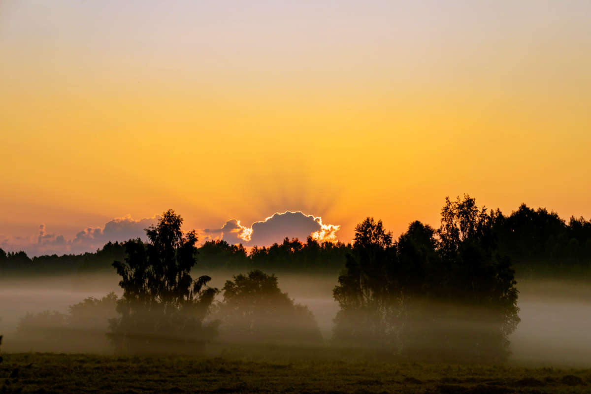 ������� ����� ���������  �� PhotoGeek.ru #������ ��� �������