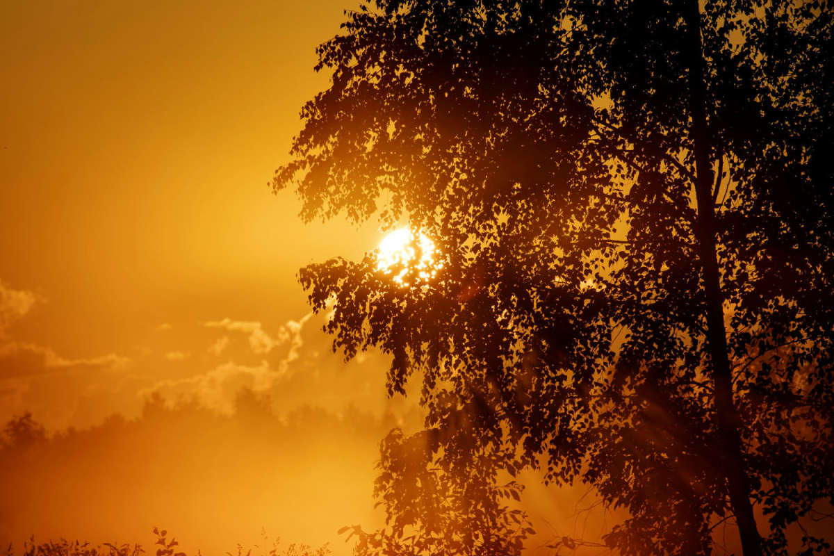 ���� ����� ���������  �� PhotoGeek.ru #������ ��� �������