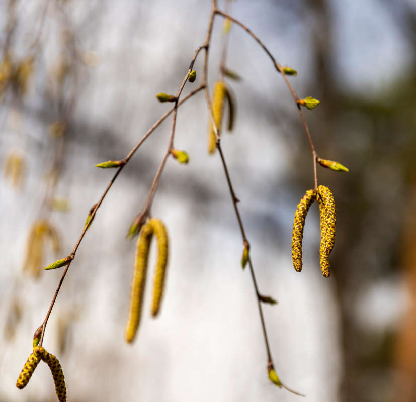 ����� ����� ���������  �� PhotoGeek.ru #������ ��� �������