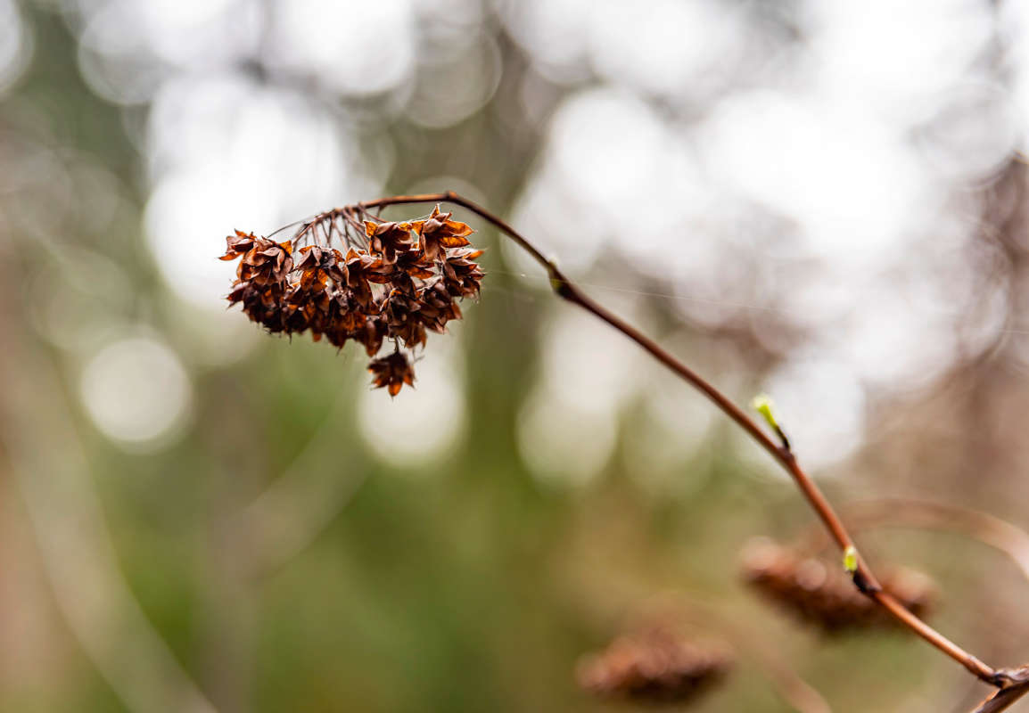 � ����� ����� ���������  �� PhotoGeek.ru #������ ��� �������