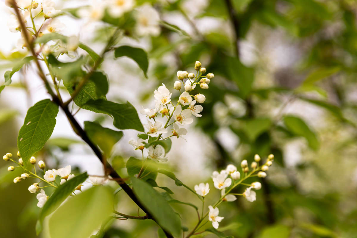 ������� ����� ���������  �� PhotoGeek.ru #������ ��� �������